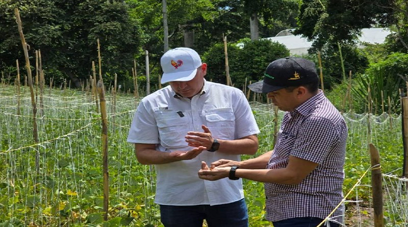 Productores ofrecen propuestas para el Plan Agrícola en Mérida 