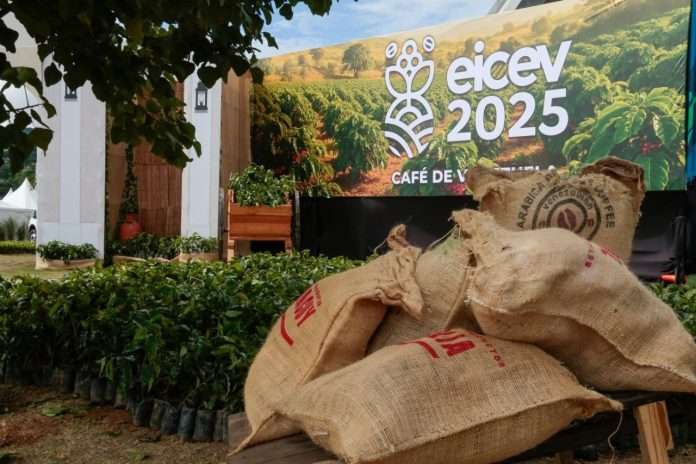 Récord mundial impulsa café venezolano al trono de la excelencia